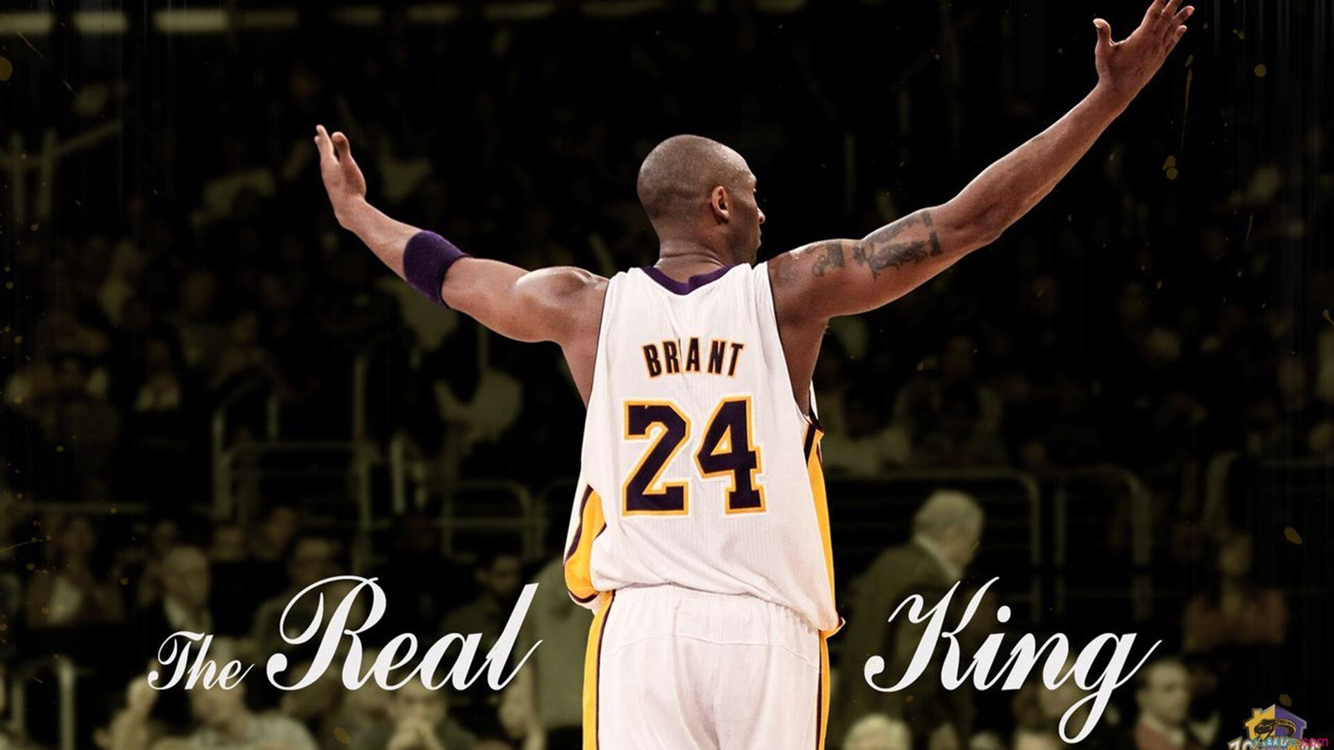 开云下载-山西逆袭记，小贾伦关键绝杀，力克国王助队争冠路上惊险胜出